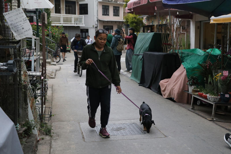 ‘ไซกุง’ มรดกโลกที่มนุษย์และธรรมชาติรังสรรค์ร่วมกัน, เข้าถึงง่าย: ‘ภูเขา’ อยู่ห่างจาก ‘รถไฟฟ้า’ เพียงไม่กี่ก้าว, ‘Peak Trail’: ป่าคอนกรีตที่ยั่งยืนบนพื้นที่อนุรักษ์ 63%, วิถีชาวเกาะลัมมา: เข็มนาฬิกาเดินช้าลงตามจังหวะน้ำขึ้น-ลง, บทสรุปฮ่องกงในมิติใหม่ที่มากกว่าการช้อปปิ้ง
