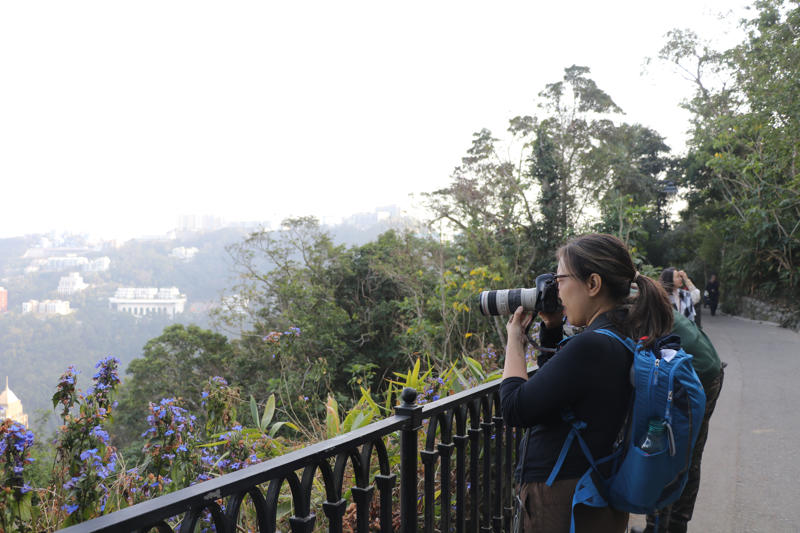 ‘ไซกุง’ มรดกโลกที่มนุษย์และธรรมชาติรังสรรค์ร่วมกัน, เข้าถึงง่าย: ‘ภูเขา’ อยู่ห่างจาก ‘รถไฟฟ้า’ เพียงไม่กี่ก้าว, ‘Peak Trail’: ป่าคอนกรีตที่ยั่งยืนบนพื้นที่อนุรักษ์ 63%, วิถีชาวเกาะลัมมา: เข็มนาฬิกาเดินช้าลงตามจังหวะน้ำขึ้น-ลง, บทสรุปฮ่องกงในมิติใหม่ที่มากกว่าการช้อปปิ้ง