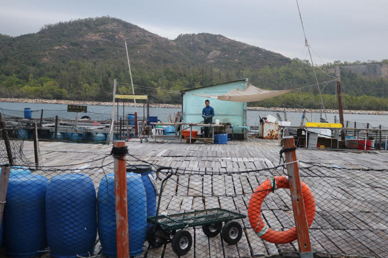 ‘ไซกุง’ มรดกโลกที่มนุษย์และธรรมชาติรังสรรค์ร่วมกัน, เข้าถึงง่าย: ‘ภูเขา’ อยู่ห่างจาก ‘รถไฟฟ้า’ เพียงไม่กี่ก้าว, ‘Peak Trail’: ป่าคอนกรีตที่ยั่งยืนบนพื้นที่อนุรักษ์ 63%, วิถีชาวเกาะลัมมา: เข็มนาฬิกาเดินช้าลงตามจังหวะน้ำขึ้น-ลง, บทสรุปฮ่องกงในมิติใหม่ที่มากกว่าการช้อปปิ้ง