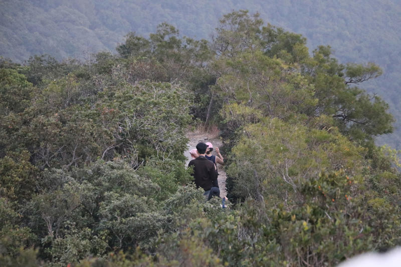 ‘ไซกุง’ มรดกโลกที่มนุษย์และธรรมชาติรังสรรค์ร่วมกัน, เข้าถึงง่าย: ‘ภูเขา’ อยู่ห่างจาก ‘รถไฟฟ้า’ เพียงไม่กี่ก้าว, ‘Peak Trail’: ป่าคอนกรีตที่ยั่งยืนบนพื้นที่อนุรักษ์ 63%, วิถีชาวเกาะลัมมา: เข็มนาฬิกาเดินช้าลงตามจังหวะน้ำขึ้น-ลง, บทสรุปฮ่องกงในมิติใหม่ที่มากกว่าการช้อปปิ้ง