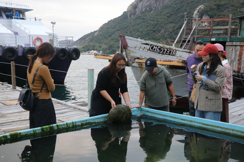 ‘ไซกุง’ มรดกโลกที่มนุษย์และธรรมชาติรังสรรค์ร่วมกัน, เข้าถึงง่าย: ‘ภูเขา’ อยู่ห่างจาก ‘รถไฟฟ้า’ เพียงไม่กี่ก้าว, ‘Peak Trail’: ป่าคอนกรีตที่ยั่งยืนบนพื้นที่อนุรักษ์ 63%, วิถีชาวเกาะลัมมา: เข็มนาฬิกาเดินช้าลงตามจังหวะน้ำขึ้น-ลง, บทสรุปฮ่องกงในมิติใหม่ที่มากกว่าการช้อปปิ้ง