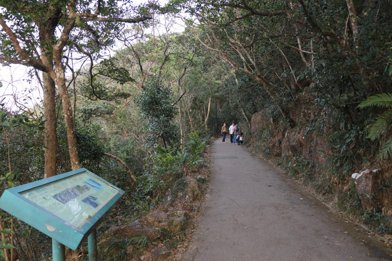 ‘ไซกุง’ มรดกโลกที่มนุษย์และธรรมชาติรังสรรค์ร่วมกัน, เข้าถึงง่าย: ‘ภูเขา’ อยู่ห่างจาก ‘รถไฟฟ้า’ เพียงไม่กี่ก้าว, ‘Peak Trail’: ป่าคอนกรีตที่ยั่งยืนบนพื้นที่อนุรักษ์ 63%, วิถีชาวเกาะลัมมา: เข็มนาฬิกาเดินช้าลงตามจังหวะน้ำขึ้น-ลง, บทสรุปฮ่องกงในมิติใหม่ที่มากกว่าการช้อปปิ้ง