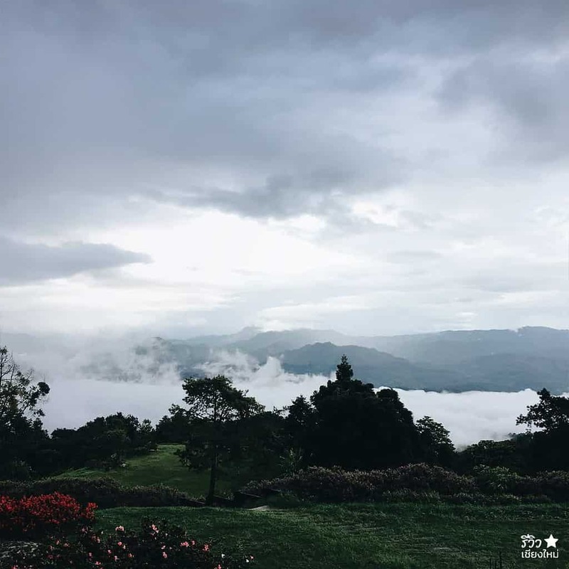 กิ่วแม่ปาน, ดอยค้ำฟ้า, ดอยปุย, ดอยปู่หมื่น, ดอยผ้าห่มปก, ดอยม่อนจอง, ดอยม่อนล้าน, ดอยม่อนเงาะ, ดอยม่อนแจ่ม, ดอยสุเทพ, ดอยหลวงเชียงดาว, ดอยหัวหมู, ดอยอ่างขาง, ดอยอินทนนท์, ดอยอินทนน์, ดอยเชียงใหม่, ดอยแม่ตะมาน, ดอยแม่โถ, ดอยไม่มีชื่อ, ที่เที่ยว เชียงใหม่, เที่ยวดอยเชียงใหม่, 25 ดอยเชียงใหม่ หน้าหนาวนี้ ขึ้นไป เที่ยวดอย รับลมหนาวปี 2024