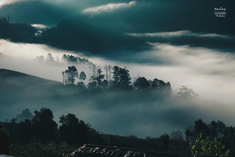 กิ่วแม่ปาน, ดอยค้ำฟ้า, ดอยปุย, ดอยปู่หมื่น, ดอยผ้าห่มปก, ดอยม่อนจอง, ดอยม่อนล้าน, ดอยม่อนเงาะ, ดอยม่อนแจ่ม, ดอยสุเทพ, ดอยหลวงเชียงดาว, ดอยหัวหมู, ดอยอ่างขาง, ดอยอินทนนท์, ดอยอินทนน์, ดอยเชียงใหม่, ดอยแม่ตะมาน, ดอยแม่โถ, ดอยไม่มีชื่อ, ที่เที่ยว เชียงใหม่, เที่ยวดอยเชียงใหม่, 25 ดอยเชียงใหม่ หน้าหนาวนี้ ขึ้นไป เที่ยวดอย รับลมหนาวปี 2024