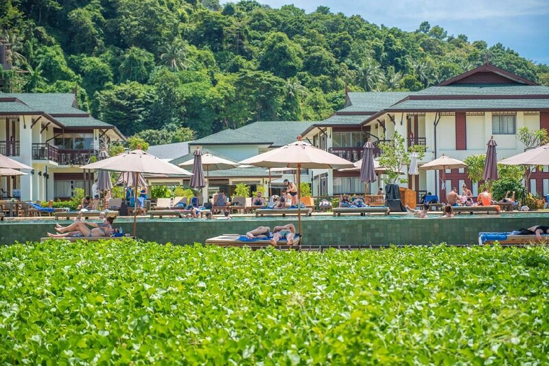 chaokoh phi phi hotel & resort, hip seaview resort @ phi phi, p2 wood loft, phi phi cliff beach resort, phi phi coco beach resort, phi phi harbour view hotel, phi phi island village beach resort, phi phi nice beach hotel hip, phi phi the beach resort, pp mountain beach resort, pp princess resort, villa 360 resort and spa, zeavola hotel, ชาวเกาะ พีพี โฮเต็ล แอนด์ รีสอร์ต, ที่พักพีพี, ที่พักพีพี 2024, ที่พักพีพี 2567, ที่พักเกาะพีพี, ที่พักเกาะพีพี 2024, ที่พักเกาะพีพี 2567, ที่พักเกาะพีพี ติดทะเล, ที่พักเกาะพีพี ติดทะเล 2024, ที่พักเกาะพีพี ติดทะเล 2567, ที่พักเกาะพีพี ติดหาด, ที่พักเกาะพีพีดอน, พาราไดส์ รีสอร์ท พีพี, พี2 วูดลอฟต์, พีพี ปรินเซส รีสอร์ท, พีพี ลองบีช รีสอร์ท แอนด์ วิลล่า, พีพี ฮาร์เบอร์วิว โฮเต็ล, พีพี เดอะ บีช รีสอร์ท, พีพี เมาน์เท็น บีช รีสอร์ท, พีพี โคโค่ บีช รีสอร์ท, พีพี ไนซ์ บีช โฮเต็ล ฮิป, พีพี ไอส์แลนด์ วิลเลจ บีช รีสอร์ท, พีพีคลิฟ บีช รีสอร์ท, วิลล่า 360 รีสอร์ท แอนด์ สปา, ฮิปซีวิวรีสอร์ทแอทพีพี, เกาะพีพี, เกาะพีพีดอน, โรงแรมซีโวล่า, top 15+ ที่พักเกาะพีพี [กรกฎาคม 2024] ติดทะเล วิวสวย จังหวัดกระบี่