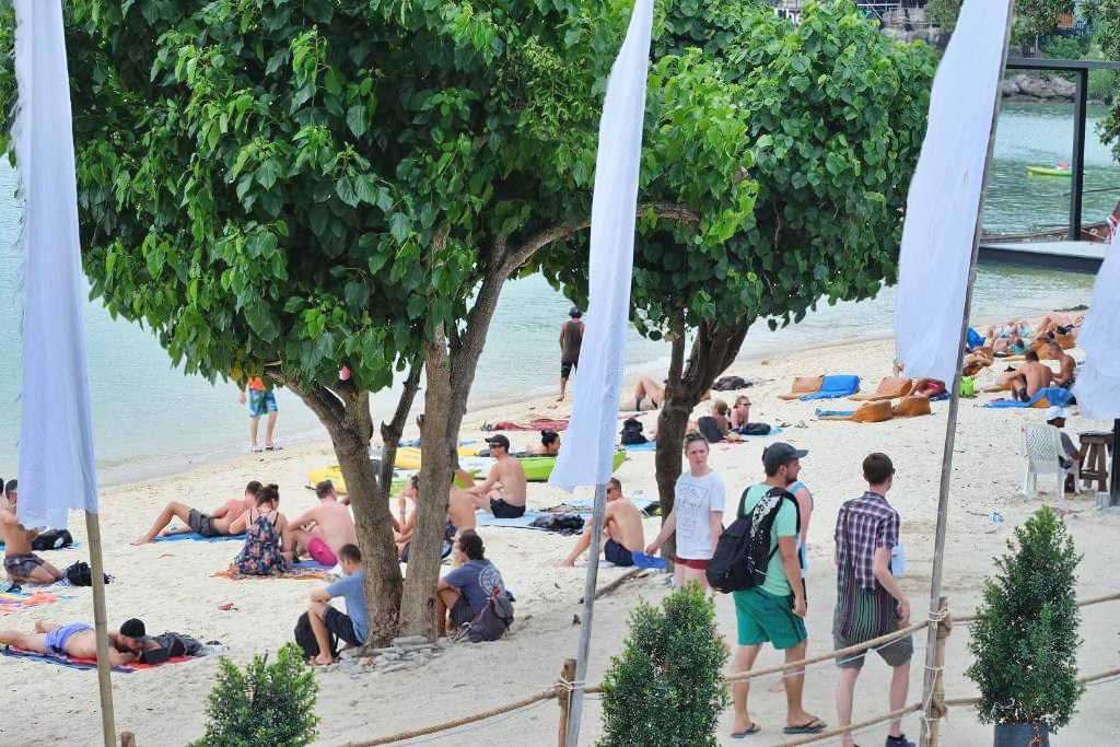 chaokoh phi phi hotel & resort, hip seaview resort @ phi phi, p2 wood loft, phi phi cliff beach resort, phi phi coco beach resort, phi phi harbour view hotel, phi phi island village beach resort, phi phi nice beach hotel hip, phi phi the beach resort, pp mountain beach resort, pp princess resort, villa 360 resort and spa, zeavola hotel, ชาวเกาะ พีพี โฮเต็ล แอนด์ รีสอร์ต, ที่พักพีพี, ที่พักพีพี 2024, ที่พักพีพี 2567, ที่พักเกาะพีพี, ที่พักเกาะพีพี 2024, ที่พักเกาะพีพี 2567, ที่พักเกาะพีพี ติดทะเล, ที่พักเกาะพีพี ติดทะเล 2024, ที่พักเกาะพีพี ติดทะเล 2567, ที่พักเกาะพีพี ติดหาด, ที่พักเกาะพีพีดอน, พาราไดส์ รีสอร์ท พีพี, พี2 วูดลอฟต์, พีพี ปรินเซส รีสอร์ท, พีพี ลองบีช รีสอร์ท แอนด์ วิลล่า, พีพี ฮาร์เบอร์วิว โฮเต็ล, พีพี เดอะ บีช รีสอร์ท, พีพี เมาน์เท็น บีช รีสอร์ท, พีพี โคโค่ บีช รีสอร์ท, พีพี ไนซ์ บีช โฮเต็ล ฮิป, พีพี ไอส์แลนด์ วิลเลจ บีช รีสอร์ท, พีพีคลิฟ บีช รีสอร์ท, วิลล่า 360 รีสอร์ท แอนด์ สปา, ฮิปซีวิวรีสอร์ทแอทพีพี, เกาะพีพี, เกาะพีพีดอน, โรงแรมซีโวล่า, top 15+ ที่พักเกาะพีพี [กรกฎาคม 2024] ติดทะเล วิวสวย จังหวัดกระบี่