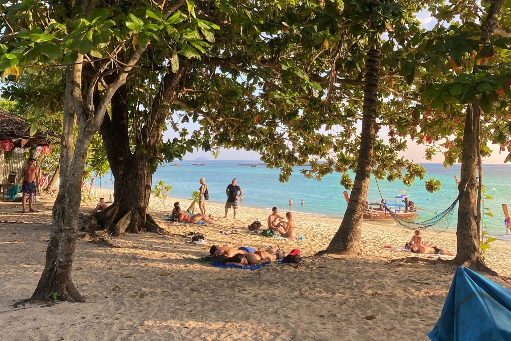 chaokoh phi phi hotel & resort, hip seaview resort @ phi phi, p2 wood loft, phi phi cliff beach resort, phi phi coco beach resort, phi phi harbour view hotel, phi phi island village beach resort, phi phi nice beach hotel hip, phi phi the beach resort, pp mountain beach resort, pp princess resort, villa 360 resort and spa, zeavola hotel, ชาวเกาะ พีพี โฮเต็ล แอนด์ รีสอร์ต, ที่พักพีพี, ที่พักพีพี 2024, ที่พักพีพี 2567, ที่พักเกาะพีพี, ที่พักเกาะพีพี 2024, ที่พักเกาะพีพี 2567, ที่พักเกาะพีพี ติดทะเล, ที่พักเกาะพีพี ติดทะเล 2024, ที่พักเกาะพีพี ติดทะเล 2567, ที่พักเกาะพีพี ติดหาด, ที่พักเกาะพีพีดอน, พาราไดส์ รีสอร์ท พีพี, พี2 วูดลอฟต์, พีพี ปรินเซส รีสอร์ท, พีพี ลองบีช รีสอร์ท แอนด์ วิลล่า, พีพี ฮาร์เบอร์วิว โฮเต็ล, พีพี เดอะ บีช รีสอร์ท, พีพี เมาน์เท็น บีช รีสอร์ท, พีพี โคโค่ บีช รีสอร์ท, พีพี ไนซ์ บีช โฮเต็ล ฮิป, พีพี ไอส์แลนด์ วิลเลจ บีช รีสอร์ท, พีพีคลิฟ บีช รีสอร์ท, วิลล่า 360 รีสอร์ท แอนด์ สปา, ฮิปซีวิวรีสอร์ทแอทพีพี, เกาะพีพี, เกาะพีพีดอน, โรงแรมซีโวล่า, top 15+ ที่พักเกาะพีพี [กรกฎาคม 2024] ติดทะเล วิวสวย จังหวัดกระบี่