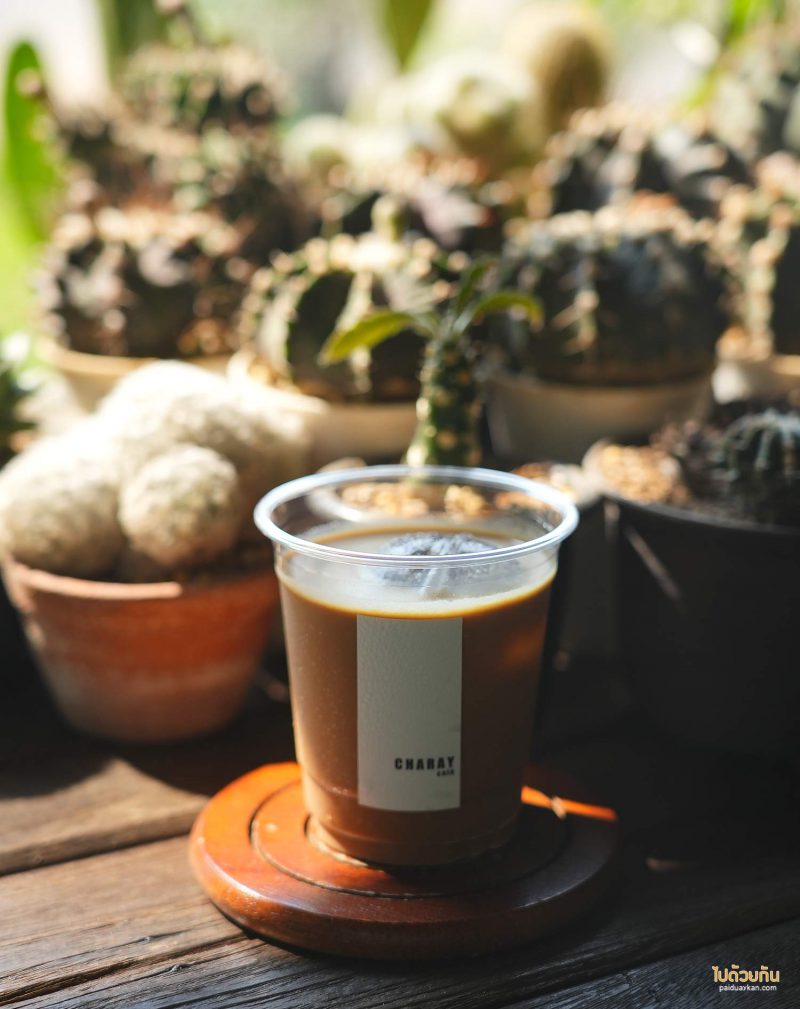 คาเฟ่ชะอำ, เที่ยวชะอำ, charay café, charay café คาเฟ่ชะอำ จิบกาแฟรสเข้ม ในสวนร่มรื่น