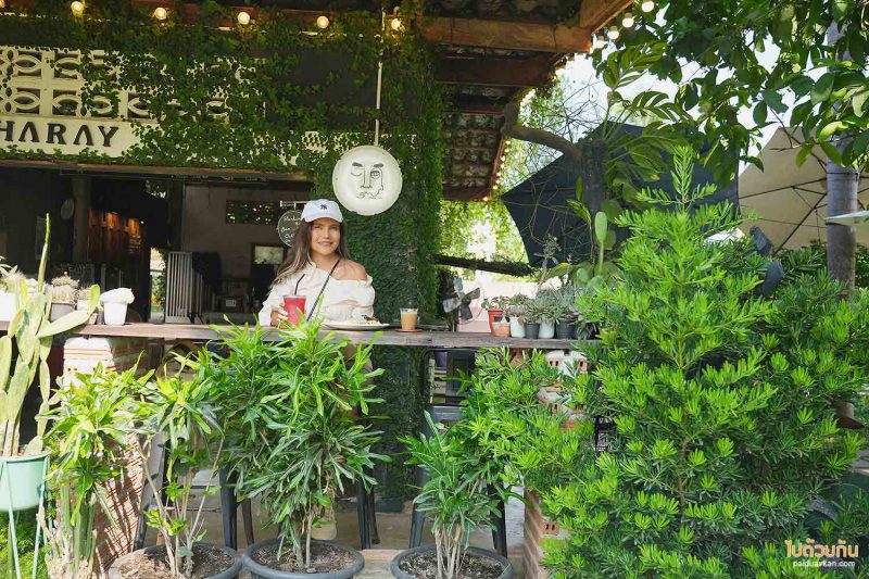คาเฟ่ชะอำ, เที่ยวชะอำ, charay café, charay café คาเฟ่ชะอำ จิบกาแฟรสเข้ม ในสวนร่มรื่น