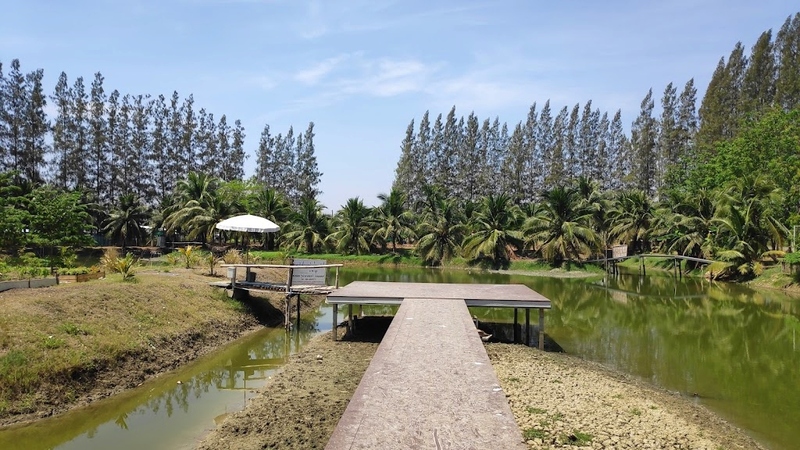 1d+ day artist, air space, air space hua hin, bamp beach & cafe, bamp cafe, bella costa, bonnie on the beach, coco & coff, drip rim lay, drip rim lay huahin, eureka beach cafe, eureka nitro coffee, iko camp & cafe, matapita, matapita cafe, memory house cafe, memory house cafe huahin, molley coffee stand, oneddayartist, pineapple surf club, rimpha chomview, s&039;more cafe, skoop beach café, sugar bloom, the moment cafe and craft, tumlay cafe & bar, tumlay cafe & bar huahin, turtle bay, turtle bay hua hin, คาเฟ่หัวหิน, คาเฟ่หัวหิน 2023, คาเฟ่หัวหิน 2024, คาเฟ่หัวหิน 2566, คาเฟ่หัวหิน 2567, คาเฟ่ใกล้ฉัน, ชูก้าบลูม คาเฟ่, บ้านใกล้วัง, บ้านใกล้วัง หัวหิน, ประจวบคีรีขันธ์ คาเฟ่, ยูเรก้าบีชคาเฟ่, ร้านอาหารไทย หัวหิน, ริมผาชมวิว, วังไกลกังวล, หัวหิน, หัวหิน 2024, อีโก้ แคมป์ แอนด์ คาเฟ่, เซิร์ฟคลับ หัวหิน, เดอะโมเม้นคาเฟ่, เมมโมรี่เฮ้าส์, โรงแรม veranda, top 20+ คาเฟ่หัวหิน [กรกฎาคม 2024] นั่งจิบกาแฟเย็น ๆ รับลมริมทะเลฟิน ๆ พร้อมมุมถ่ายรูปสุดจึ้ง!