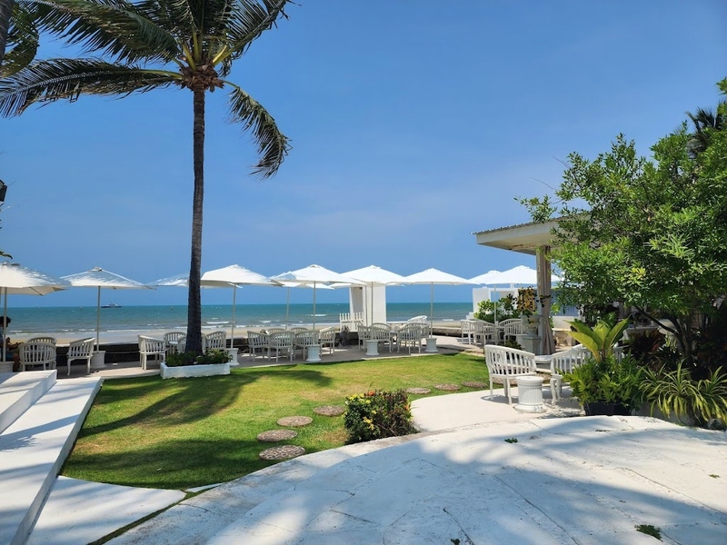 1d+ day artist, air space, air space hua hin, bamp beach & cafe, bamp cafe, bella costa, bonnie on the beach, coco & coff, drip rim lay, drip rim lay huahin, eureka beach cafe, eureka nitro coffee, iko camp & cafe, matapita, matapita cafe, memory house cafe, memory house cafe huahin, molley coffee stand, oneddayartist, pineapple surf club, rimpha chomview, s&039;more cafe, skoop beach café, sugar bloom, the moment cafe and craft, tumlay cafe & bar, tumlay cafe & bar huahin, turtle bay, turtle bay hua hin, คาเฟ่หัวหิน, คาเฟ่หัวหิน 2023, คาเฟ่หัวหิน 2024, คาเฟ่หัวหิน 2566, คาเฟ่หัวหิน 2567, คาเฟ่ใกล้ฉัน, ชูก้าบลูม คาเฟ่, บ้านใกล้วัง, บ้านใกล้วัง หัวหิน, ประจวบคีรีขันธ์ คาเฟ่, ยูเรก้าบีชคาเฟ่, ร้านอาหารไทย หัวหิน, ริมผาชมวิว, วังไกลกังวล, หัวหิน, หัวหิน 2024, อีโก้ แคมป์ แอนด์ คาเฟ่, เซิร์ฟคลับ หัวหิน, เดอะโมเม้นคาเฟ่, เมมโมรี่เฮ้าส์, โรงแรม veranda, top 20+ คาเฟ่หัวหิน [กรกฎาคม 2024] นั่งจิบกาแฟเย็น ๆ รับลมริมทะเลฟิน ๆ พร้อมมุมถ่ายรูปสุดจึ้ง!