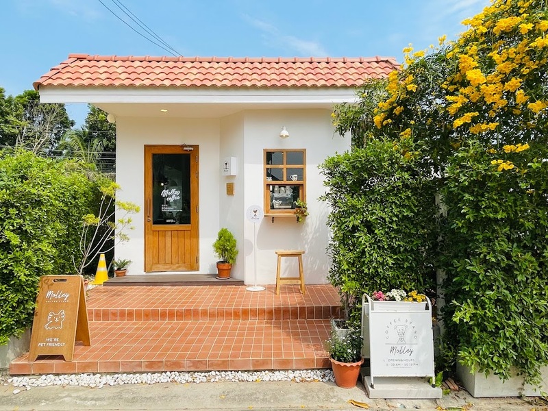 1d+ day artist, air space, air space hua hin, bamp beach & cafe, bamp cafe, bella costa, bonnie on the beach, coco & coff, drip rim lay, drip rim lay huahin, eureka beach cafe, eureka nitro coffee, iko camp & cafe, matapita, matapita cafe, memory house cafe, memory house cafe huahin, molley coffee stand, oneddayartist, pineapple surf club, rimpha chomview, s&039;more cafe, skoop beach café, sugar bloom, the moment cafe and craft, tumlay cafe & bar, tumlay cafe & bar huahin, turtle bay, turtle bay hua hin, คาเฟ่หัวหิน, คาเฟ่หัวหิน 2023, คาเฟ่หัวหิน 2024, คาเฟ่หัวหิน 2566, คาเฟ่หัวหิน 2567, คาเฟ่ใกล้ฉัน, ชูก้าบลูม คาเฟ่, บ้านใกล้วัง, บ้านใกล้วัง หัวหิน, ประจวบคีรีขันธ์ คาเฟ่, ยูเรก้าบีชคาเฟ่, ร้านอาหารไทย หัวหิน, ริมผาชมวิว, วังไกลกังวล, หัวหิน, หัวหิน 2024, อีโก้ แคมป์ แอนด์ คาเฟ่, เซิร์ฟคลับ หัวหิน, เดอะโมเม้นคาเฟ่, เมมโมรี่เฮ้าส์, โรงแรม veranda, top 20+ คาเฟ่หัวหิน [กรกฎาคม 2024] นั่งจิบกาแฟเย็น ๆ รับลมริมทะเลฟิน ๆ พร้อมมุมถ่ายรูปสุดจึ้ง!