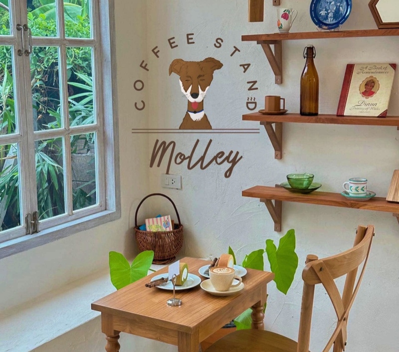 1d+ day artist, air space, air space hua hin, bamp beach & cafe, bamp cafe, bella costa, bonnie on the beach, coco & coff, drip rim lay, drip rim lay huahin, eureka beach cafe, eureka nitro coffee, iko camp & cafe, matapita, matapita cafe, memory house cafe, memory house cafe huahin, molley coffee stand, oneddayartist, pineapple surf club, rimpha chomview, s&039;more cafe, skoop beach café, sugar bloom, the moment cafe and craft, tumlay cafe & bar, tumlay cafe & bar huahin, turtle bay, turtle bay hua hin, คาเฟ่หัวหิน, คาเฟ่หัวหิน 2023, คาเฟ่หัวหิน 2024, คาเฟ่หัวหิน 2566, คาเฟ่หัวหิน 2567, คาเฟ่ใกล้ฉัน, ชูก้าบลูม คาเฟ่, บ้านใกล้วัง, บ้านใกล้วัง หัวหิน, ประจวบคีรีขันธ์ คาเฟ่, ยูเรก้าบีชคาเฟ่, ร้านอาหารไทย หัวหิน, ริมผาชมวิว, วังไกลกังวล, หัวหิน, หัวหิน 2024, อีโก้ แคมป์ แอนด์ คาเฟ่, เซิร์ฟคลับ หัวหิน, เดอะโมเม้นคาเฟ่, เมมโมรี่เฮ้าส์, โรงแรม veranda, top 20+ คาเฟ่หัวหิน [กรกฎาคม 2024] นั่งจิบกาแฟเย็น ๆ รับลมริมทะเลฟิน ๆ พร้อมมุมถ่ายรูปสุดจึ้ง!