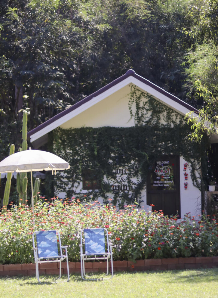 top 14+ คาเฟ่น่าน 2567 คาเฟ่น่านในเมือง คาเฟ่น่านถ่ายรูปสวย บรรยากาศดีมาก