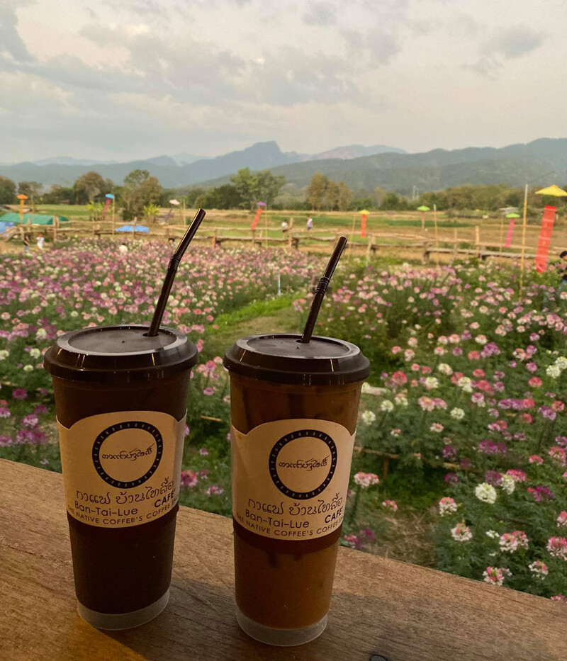 top 14+ คาเฟ่น่าน 2567 คาเฟ่น่านในเมือง คาเฟ่น่านถ่ายรูปสวย บรรยากาศดีมาก