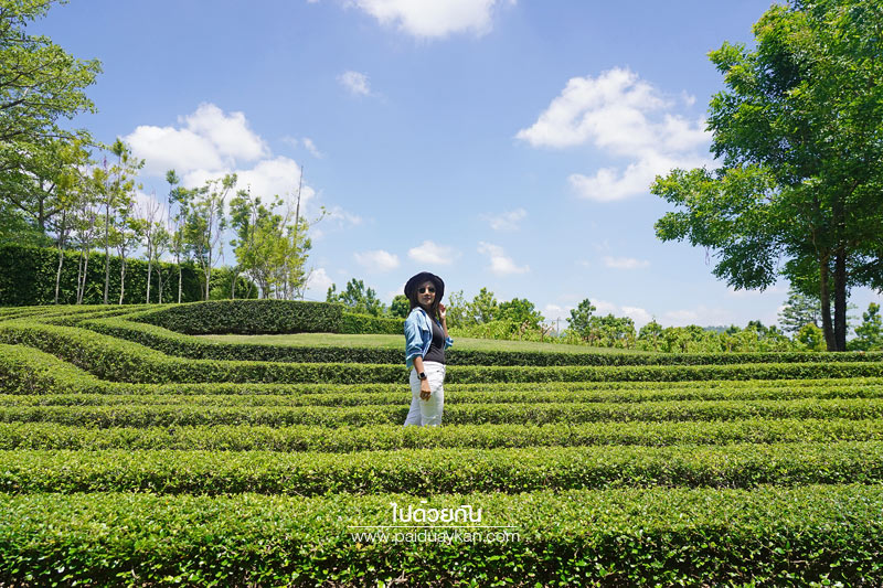 ร้านกาแฟเขาใหญ่, pirom cafe เขาใหญ่, คาเฟ่เขาใหญ่, ภิรมย์คาเฟ่, pirom cafe  จิบกาแฟเท่ มองวิวสีเขียว