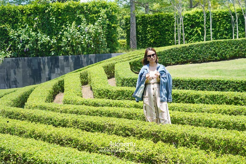 ร้านกาแฟเขาใหญ่, pirom cafe เขาใหญ่, คาเฟ่เขาใหญ่, ภิรมย์คาเฟ่, pirom cafe  จิบกาแฟเท่ มองวิวสีเขียว