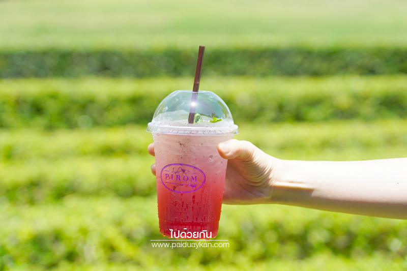 ร้านกาแฟเขาใหญ่, pirom cafe เขาใหญ่, คาเฟ่เขาใหญ่, ภิรมย์คาเฟ่, pirom cafe  จิบกาแฟเท่ มองวิวสีเขียว