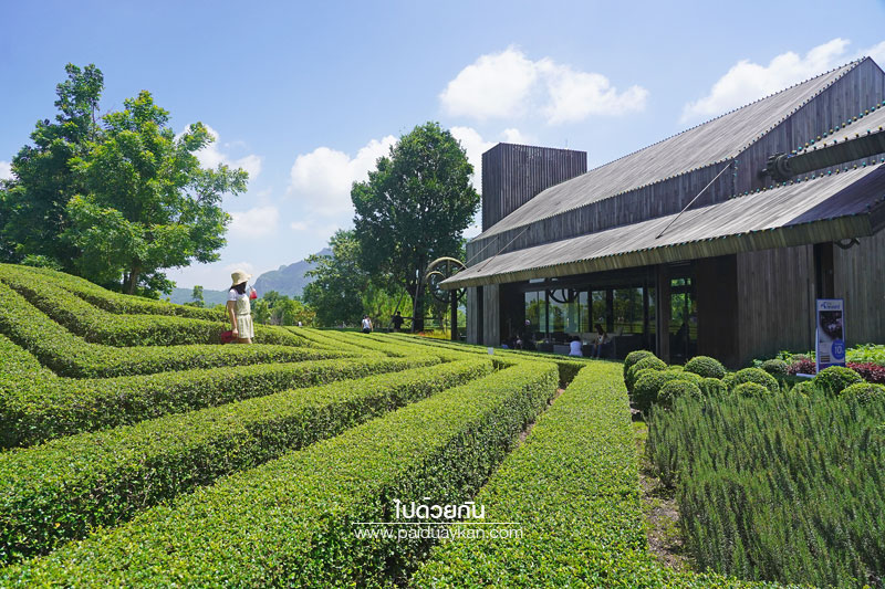 ร้านกาแฟเขาใหญ่, pirom cafe เขาใหญ่, คาเฟ่เขาใหญ่, ภิรมย์คาเฟ่, pirom cafe  จิบกาแฟเท่ มองวิวสีเขียว