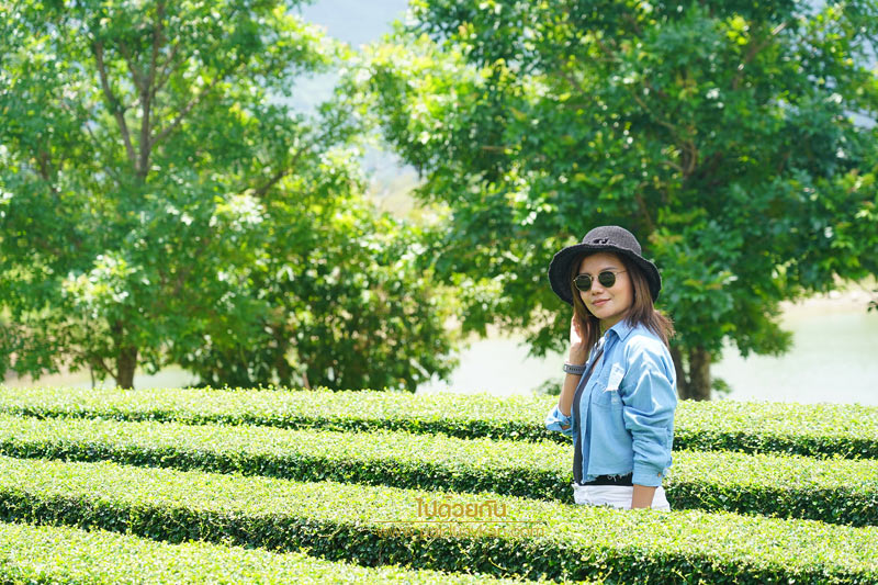 ร้านกาแฟเขาใหญ่, pirom cafe เขาใหญ่, คาเฟ่เขาใหญ่, ภิรมย์คาเฟ่, pirom cafe  จิบกาแฟเท่ มองวิวสีเขียว