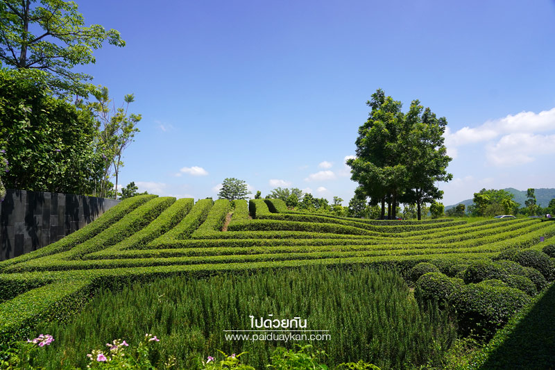 ร้านกาแฟเขาใหญ่, pirom cafe เขาใหญ่, คาเฟ่เขาใหญ่, ภิรมย์คาเฟ่, pirom cafe  จิบกาแฟเท่ มองวิวสีเขียว