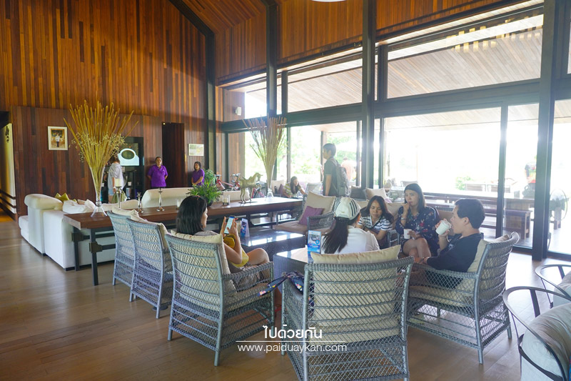 ร้านกาแฟเขาใหญ่, pirom cafe เขาใหญ่, คาเฟ่เขาใหญ่, ภิรมย์คาเฟ่, pirom cafe  จิบกาแฟเท่ มองวิวสีเขียว