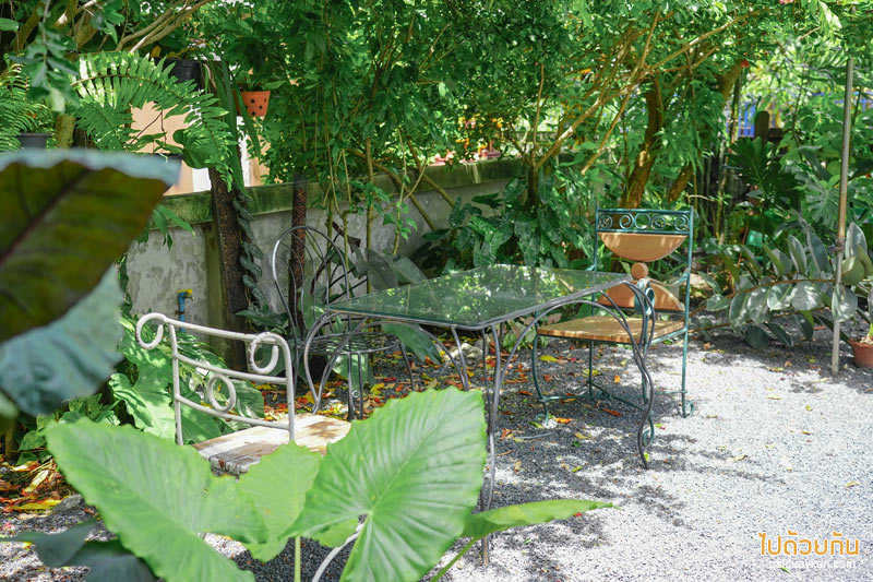 คาเฟ่ปราจีนบุรี, by ใบ house & cafe, by ใบ house & cafe คาเฟ่สุดเท่ บรรยากาศสุดกรีน