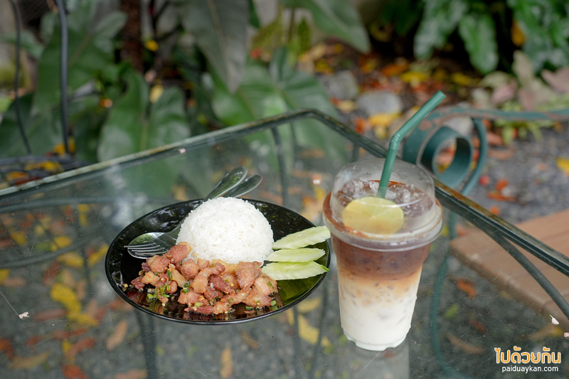 คาเฟ่ปราจีนบุรี, by ใบ house & cafe, by ใบ house & cafe คาเฟ่สุดเท่ บรรยากาศสุดกรีน