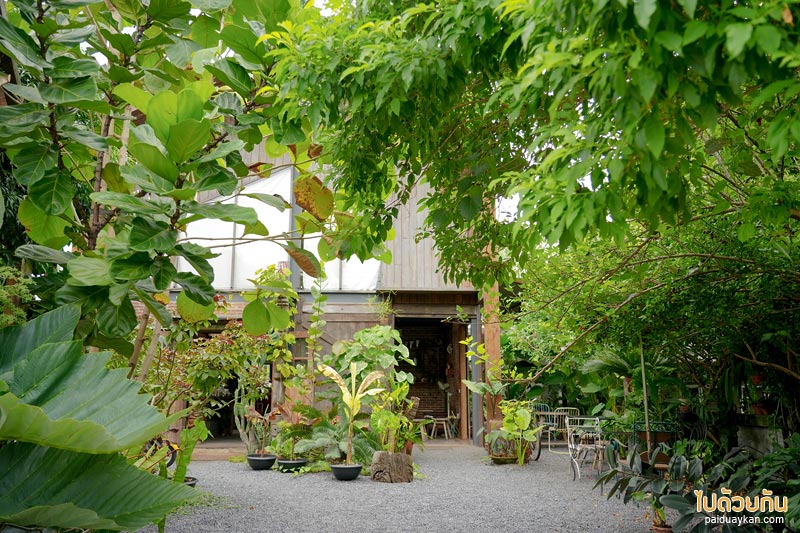 คาเฟ่ปราจีนบุรี, by ใบ house & cafe, by ใบ house & cafe คาเฟ่สุดเท่ บรรยากาศสุดกรีน