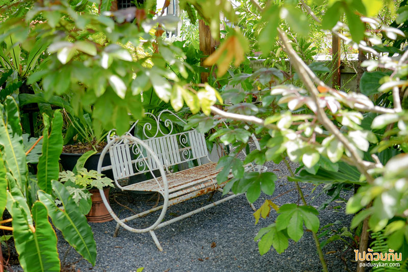 คาเฟ่ปราจีนบุรี, by ใบ house & cafe, by ใบ house & cafe คาเฟ่สุดเท่ บรรยากาศสุดกรีน