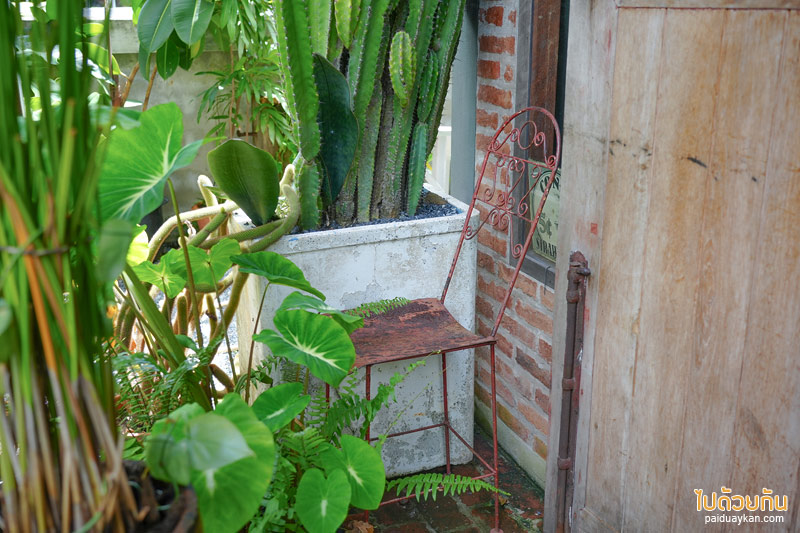 คาเฟ่ปราจีนบุรี, by ใบ house & cafe, by ใบ house & cafe คาเฟ่สุดเท่ บรรยากาศสุดกรีน