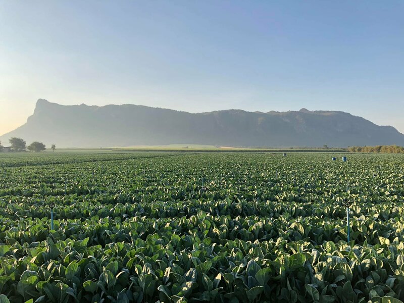 top 15+ คาเฟ่กาญจนบุรี บรรยากาศสุดชิลวิวนางฟ้า มากี่ครั้งก็ไม่มีหมด passion!