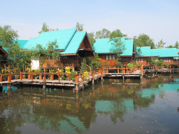 top 6+ ที่พักโฮมสเตย์คลองโคลน 2567 จ.สมุทรสงคราม ปลูกป่าชายเลนตะลุยโคลน