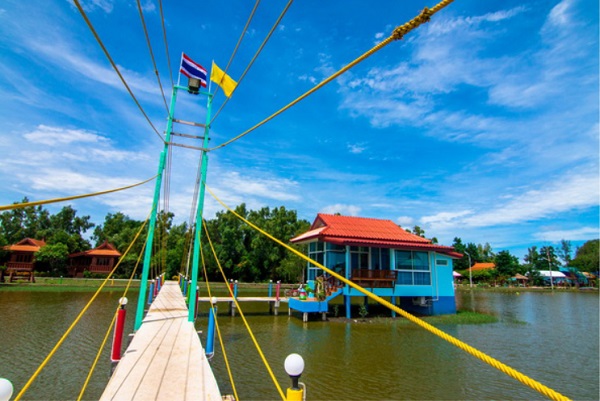 top 6+ ที่พักโฮมสเตย์คลองโคลน 2567 จ.สมุทรสงคราม ปลูกป่าชายเลนตะลุยโคลน