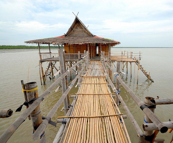 top 6+ ที่พักโฮมสเตย์คลองโคลน 2567 จ.สมุทรสงคราม ปลูกป่าชายเลนตะลุยโคลน