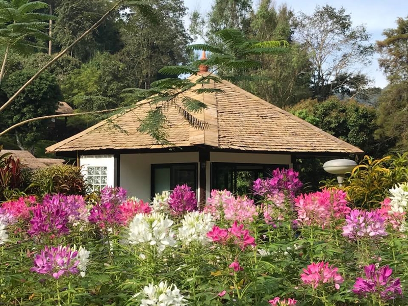 top 5+ ที่พักมีสวนดอกไม้ ที่พักสวยๆ มุมถ่ายรูปเยอะ