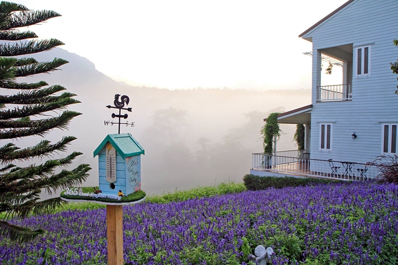 top 5+ ที่พักมีสวนดอกไม้ ที่พักสวยๆ มุมถ่ายรูปเยอะ