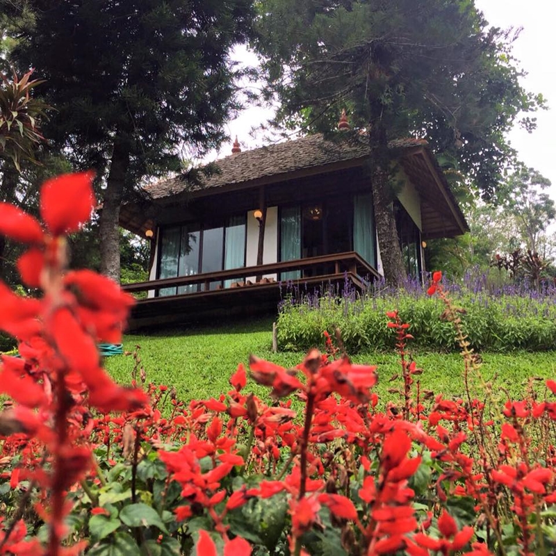 top 5+ ที่พักมีสวนดอกไม้ ที่พักสวยๆ มุมถ่ายรูปเยอะ