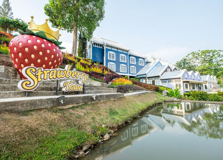 top 5+ ที่พักมีสวนดอกไม้ ที่พักสวยๆ มุมถ่ายรูปเยอะ