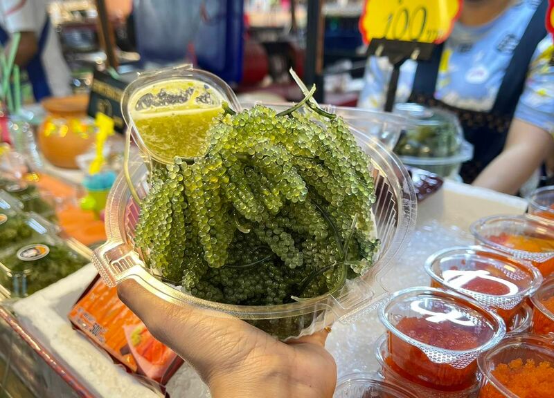 รวม 12 ตลาดนัดกลางคืน แหล่งกิน แหล่งชิม แหล่งช็อปแบบสุดฟินยามค่ำคืน!