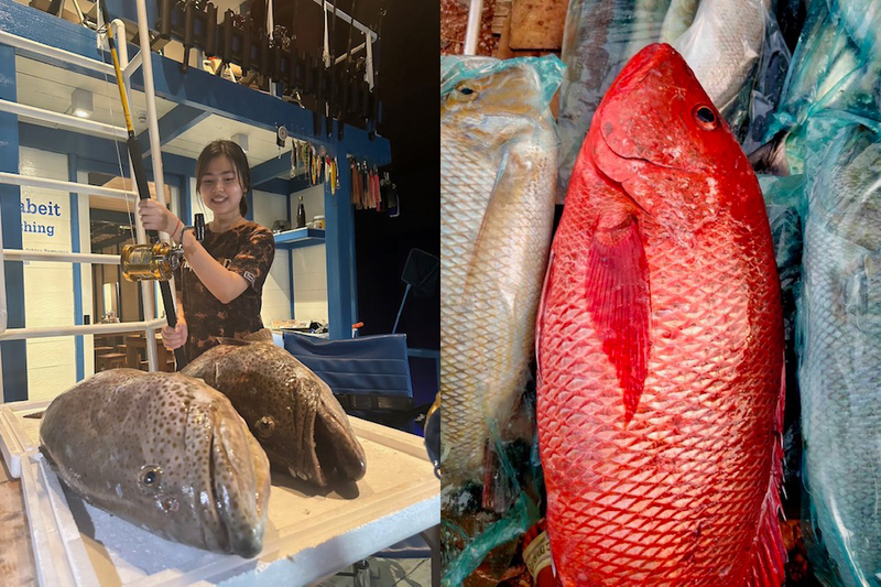 รวมร้านอาหารภูเก็ต 2567 ร้านอร่อย ร้านดัง ร้านอาหารเก่าแก่ ที่เมื่อไปภูเก็ตแล้วต้องแวะ!!