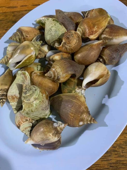 รวมร้านอาหารภูเก็ต 2567 ร้านอร่อย ร้านดัง ร้านอาหารเก่าแก่ ที่เมื่อไปภูเก็ตแล้วต้องแวะ!!