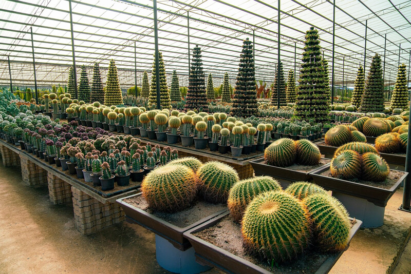 แสมสาร, top 10+ ที่เที่ยวสัตหีบ 2567 ชลบุรี เที่ยวเกาะแสมสาร เกาะขาม น้ำทะเลใสมาก