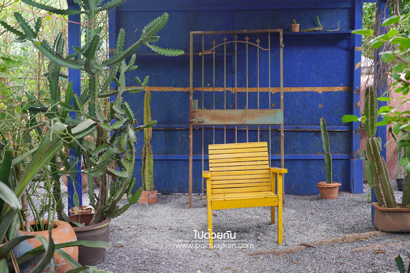 สถานที่ท่องเที่ยวปทุมธานี, คาเฟ่ปทุมธานี, ร้านกาแฟปทุมธานี, prem cafe in the garden, ร้านกาแฟในสวนปทุมธานี, ร้านกาแฟริมน้ำปทุมธานี, prem cafe in the garden คาเฟ่ในสวนสุดว้าว ปทุมธานี