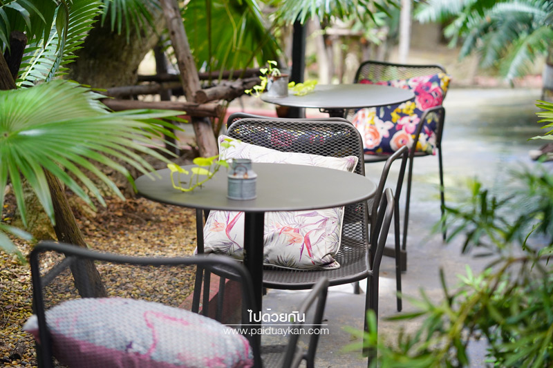 สถานที่ท่องเที่ยวปทุมธานี, คาเฟ่ปทุมธานี, ร้านกาแฟปทุมธานี, prem cafe in the garden, ร้านกาแฟในสวนปทุมธานี, ร้านกาแฟริมน้ำปทุมธานี, prem cafe in the garden คาเฟ่ในสวนสุดว้าว ปทุมธานี