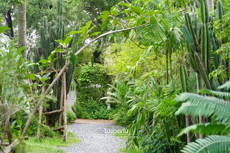 สถานที่ท่องเที่ยวปทุมธานี, คาเฟ่ปทุมธานี, ร้านกาแฟปทุมธานี, prem cafe in the garden, ร้านกาแฟในสวนปทุมธานี, ร้านกาแฟริมน้ำปทุมธานี, prem cafe in the garden คาเฟ่ในสวนสุดว้าว ปทุมธานี