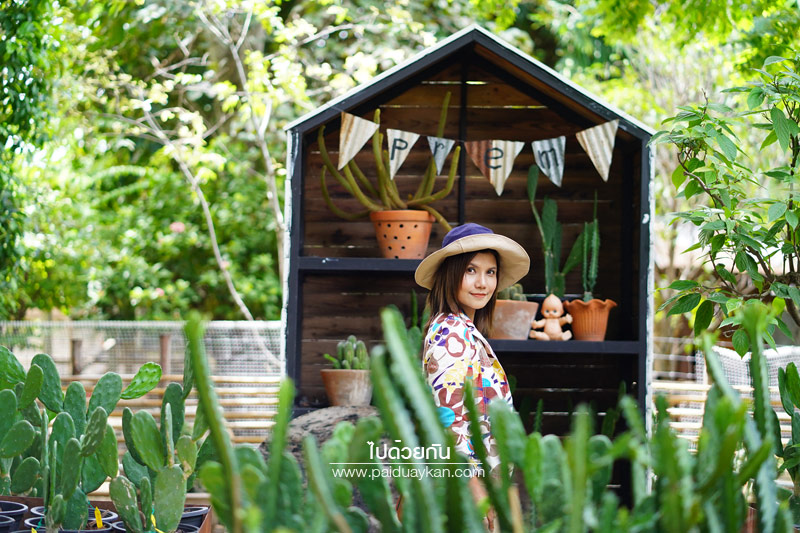 สถานที่ท่องเที่ยวปทุมธานี, คาเฟ่ปทุมธานี, ร้านกาแฟปทุมธานี, prem cafe in the garden, ร้านกาแฟในสวนปทุมธานี, ร้านกาแฟริมน้ำปทุมธานี, prem cafe in the garden คาเฟ่ในสวนสุดว้าว ปทุมธานี