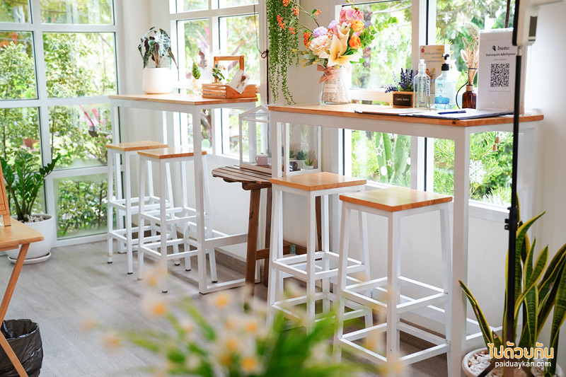 ดูคลองคาเฟ่, คาเฟ่องค์รักษ์, คาเฟ่นครนายก, ร้านอาหารนครนายก, ดูคลองคาเฟ่ นครนายก คาเฟ่น่ารัก สุดฟินริมคลอง