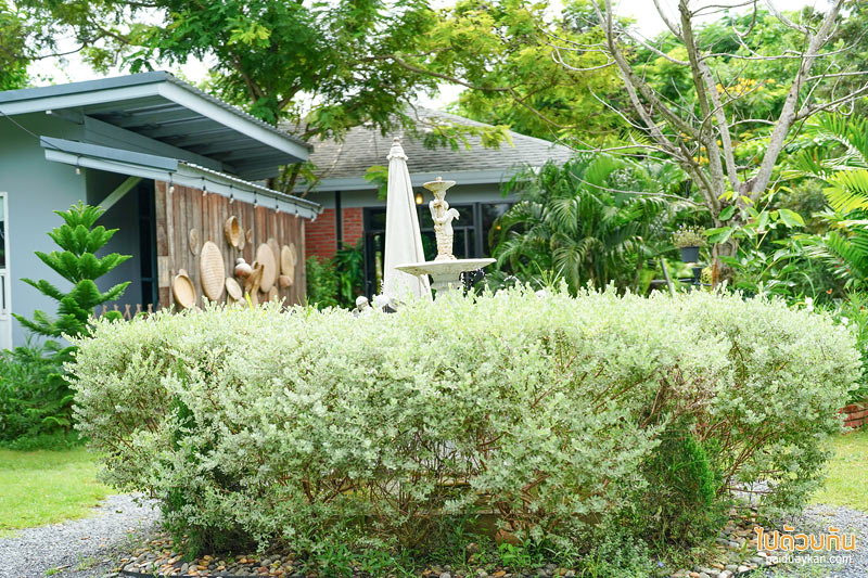 ดูคลองคาเฟ่, คาเฟ่องค์รักษ์, คาเฟ่นครนายก, ร้านอาหารนครนายก, ดูคลองคาเฟ่ นครนายก คาเฟ่น่ารัก สุดฟินริมคลอง