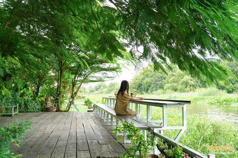 ดูคลองคาเฟ่, คาเฟ่องค์รักษ์, คาเฟ่นครนายก, ร้านอาหารนครนายก, ดูคลองคาเฟ่ นครนายก คาเฟ่น่ารัก สุดฟินริมคลอง